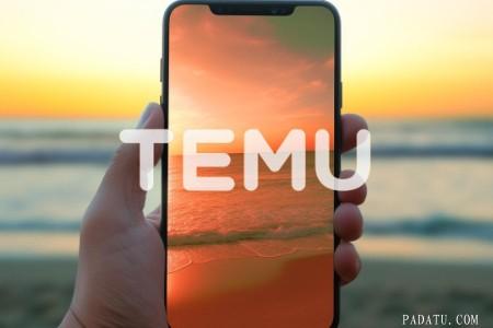 Temu波兰用户半年流失360万
