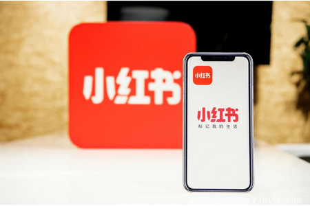 今年塌房的网红 都犯了什么事