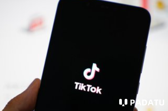 美国解除TikTok在联邦政府设备的使用限制