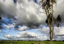 22222222222234242424