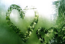 22222222222234242424